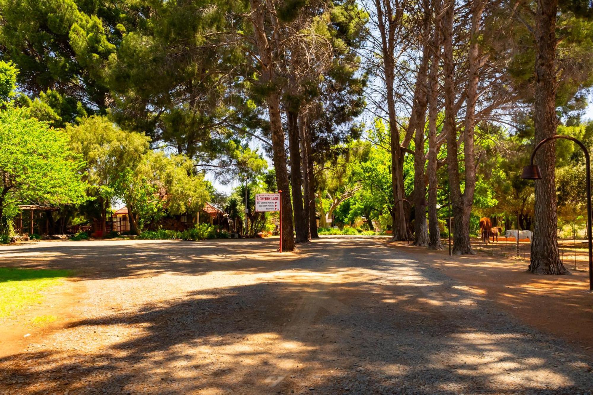 A Cherry Lane Self Catering And B&B Блумфонтейн Экстерьер фото