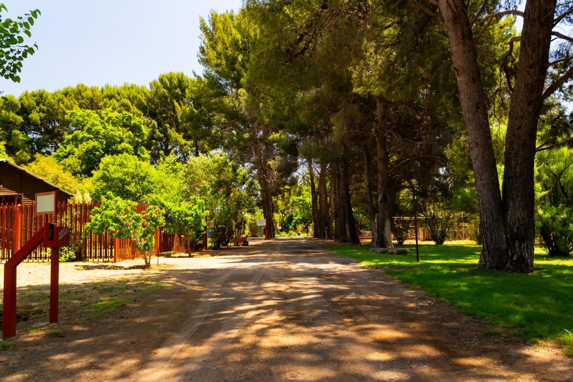 A Cherry Lane Self Catering And B&B Блумфонтейн Экстерьер фото